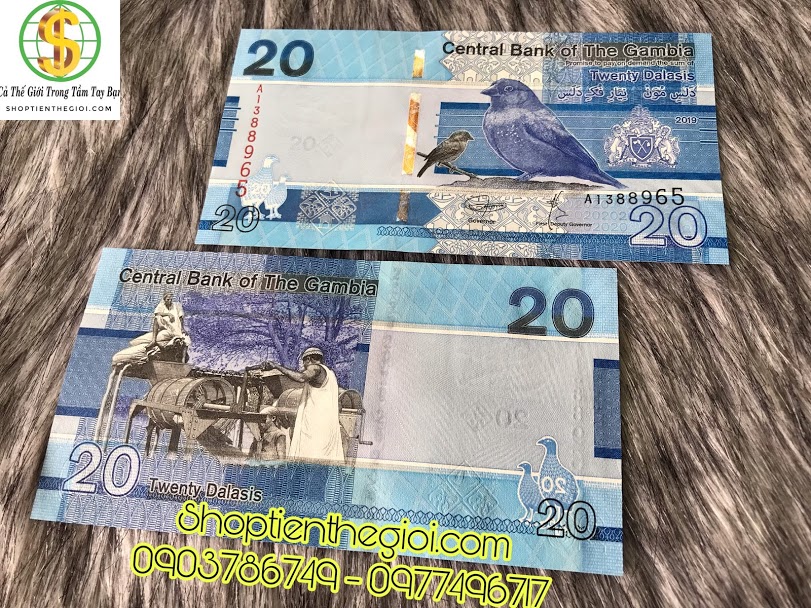 Gambia 20 dalasis 2019 UNC